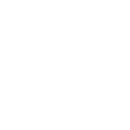 SentryDock Logo